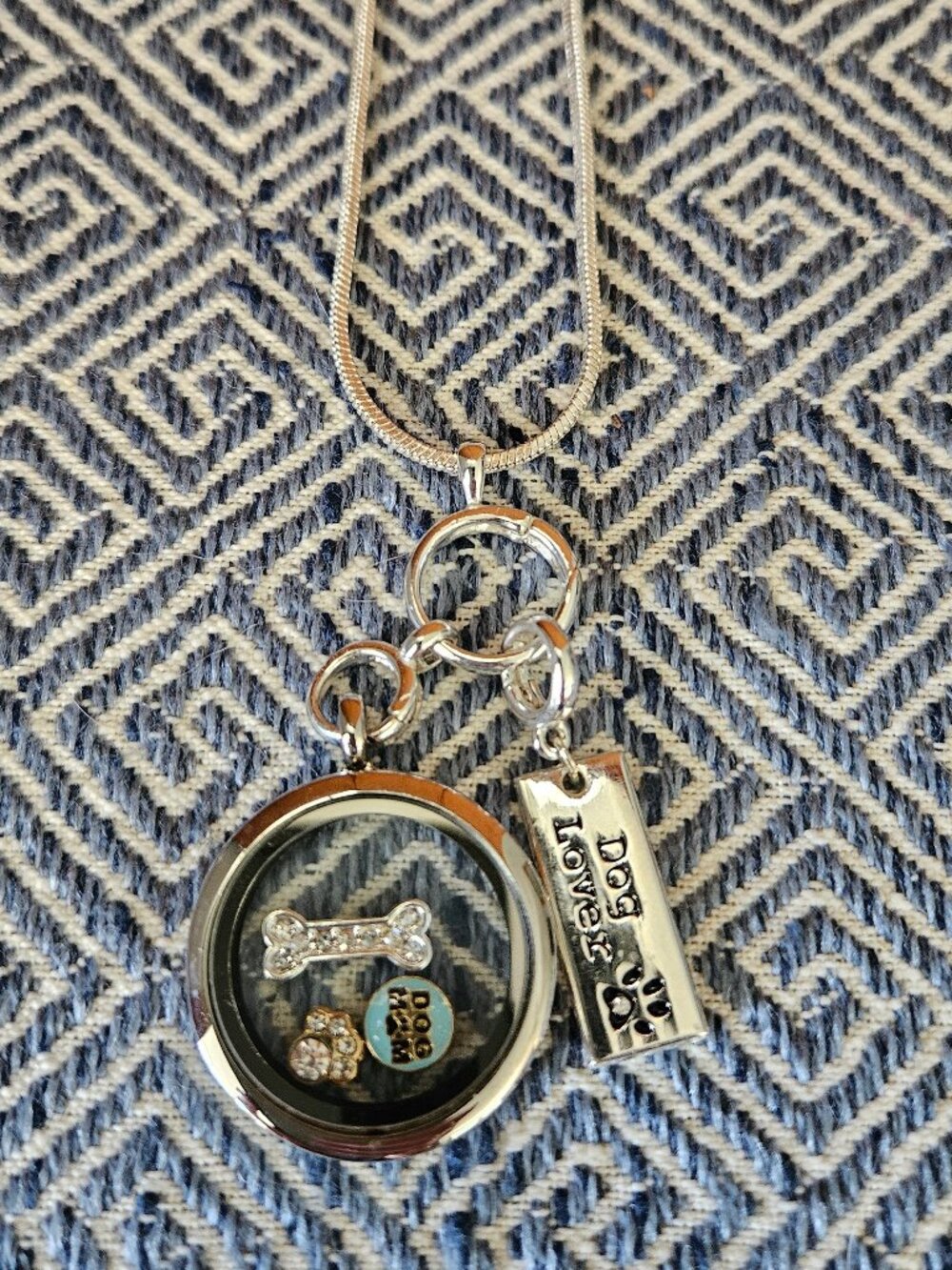 Dog Lover/Dog Mom Silvertone Locket Charm Necklace